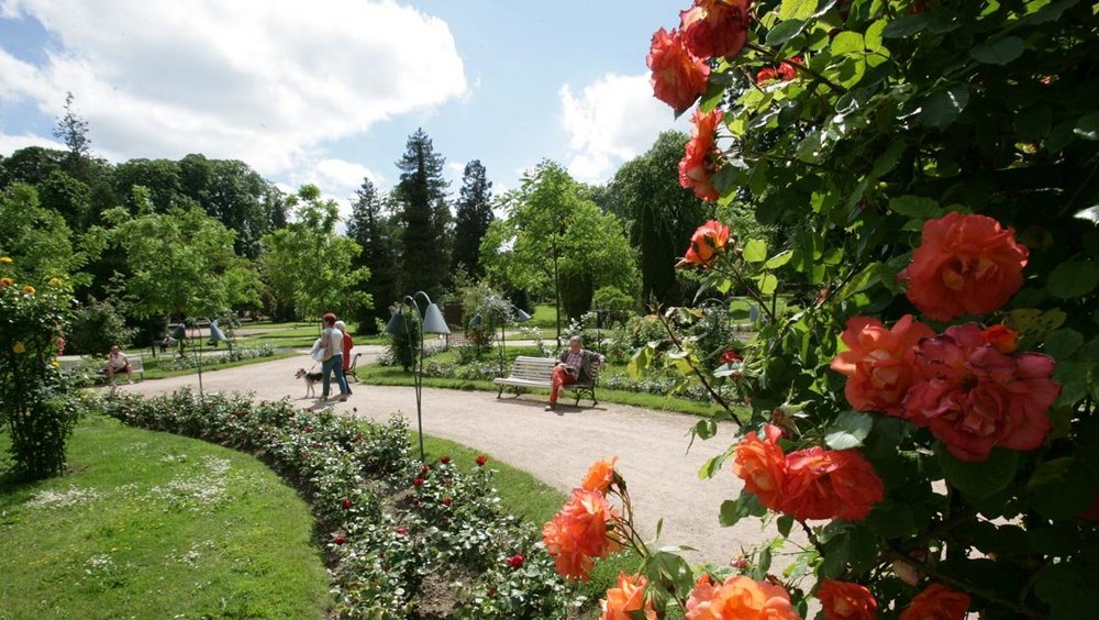 6 parcs et jardins en fleurs à visiter maintenant